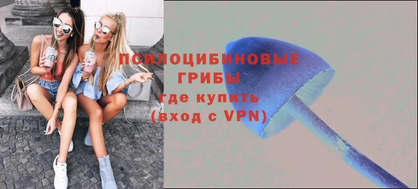 ALPHA PVP Аркадак